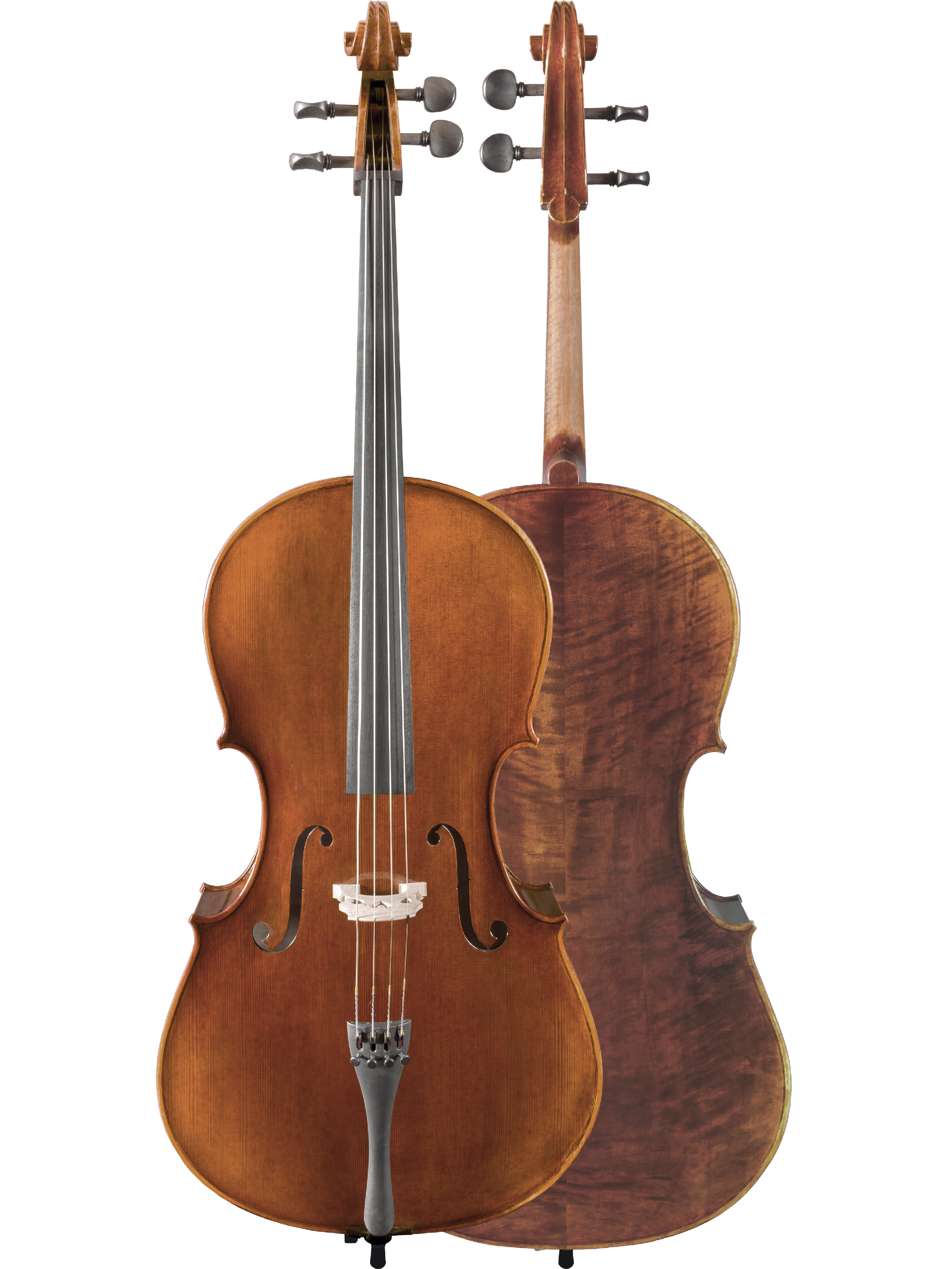 Noble Philip Cello Series — Maple Leaf Strings